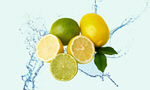 Сlipart freshness fruits lemon orange water   BillionPhotos