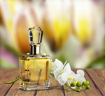 Сlipart Perfume Cosmetics Bottle Gift White   BillionPhotos