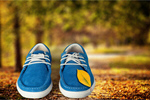 Сlipart autumn autumnal shoes garden autum   BillionPhotos