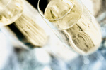 Сlipart champagne wine new year eve drink photo  BillionPhotos