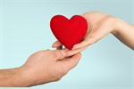 Сlipart Heart Shape Human Hand mercy Women Valentine's Day   BillionPhotos