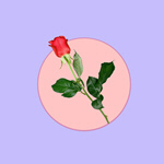 Сlipart collage flower background abstract banner   BillionPhotos