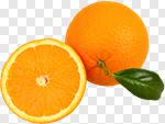 Сlipart Orange Tangerine Leaf Mandarin Orange Peel photo cut out BillionPhotos