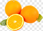 Сlipart Orange Fruit Citrus Fruit Leaf Isolated photo cut out BillionPhotos
