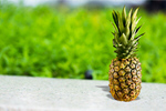 Сlipart pineapple ripe background closeup dessert   BillionPhotos