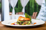 Сlipart salmon seafood food spinach gourmet   BillionPhotos