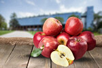Сlipart apple agriculture apples apples gala background   BillionPhotos