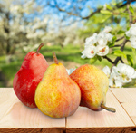 Сlipart Pear Fruit Red Backgrounds White   BillionPhotos