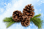 Сlipart Pine Pine Cone Christmas Decoration Decoration Isolated   BillionPhotos