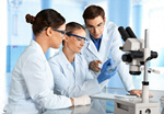 Сlipart Tree doctors in the laboratory Laboratory Biotechnology Research Scientist   BillionPhotos