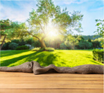 Сlipart wood wooden deck background outdoor   BillionPhotos