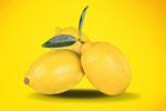 Сlipart lemon branch studio tree antioxidant   BillionPhotos