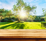 Сlipart wood wooden deck background outdoor   BillionPhotos