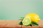 Сlipart Lemon Lime Citrus Fruit Portion Blossom   BillionPhotos