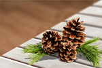 Сlipart Pine Pine Cone Christmas Decoration Decoration Isolated   BillionPhotos
