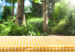 Сlipart tablecloth summer background outdoor leaves   BillionPhotos
