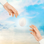 Сlipart background contemporary food abstract aesthetic   BillionPhotos