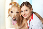 Сlipart dog cat healthcare veterinary animal   BillionPhotos