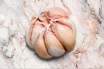 Сlipart garlic top view onion above   BillionPhotos