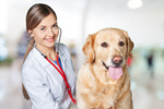 Сlipart dog cat healthcare veterinary animal   BillionPhotos