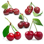 Сlipart Dieting Women Exercising Healthy Lifestyle Healthy Eating   BillionPhotos