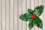 Сlipart holly christmas xmas beautiful berry   BillionPhotos