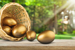 Сlipart Animal Egg Golden Animal Nest Nest Egg Treasure   BillionPhotos