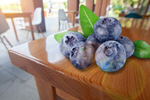 Сlipart bilberry blueberry 1 2 3   BillionPhotos
