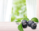 Сlipart bilberry blueberry 1 2 3   BillionPhotos