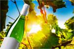 Сlipart Wine Bottle Wine White Wine Bottle Label   BillionPhotos