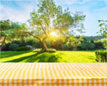 Сlipart picnic kitchen cloth product tablecloth   BillionPhotos