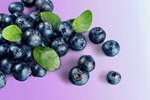 Сlipart blueberry top food berry fruit   BillionPhotos