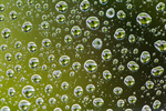 Сlipart Water Drop Glass Rain Backgrounds photo  BillionPhotos