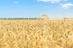 Сlipart agriculture harvest farm combine field photo  BillionPhotos