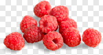 Сlipart Raspberry Berry Healthy Eating Berry Fruit Isolated photo cut out BillionPhotos