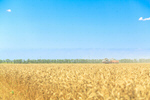 Сlipart agriculture harvest farm combine field photo  BillionPhotos