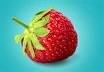 Сlipart Strawberry Red Photography Color Image Horizontal   BillionPhotos