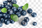 Сlipart Blueberry Berry Blue Berry Fruit Fruit photo cut out BillionPhotos