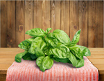 Сlipart herb plant fresh freshness basil   BillionPhotos