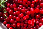 Сlipart Cranberry Cooking Food Berry Fruit Rosemary photo  BillionPhotos