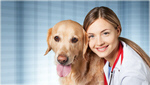 Сlipart veterinarian vet dog doctor pet   BillionPhotos