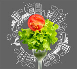 Сlipart Salad Fork Food Lettuce Tomato   BillionPhotos