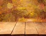Сlipart wooden deck background wood old park rustic   BillionPhotos