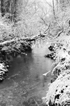 Сlipart Winter Snow Tree Holiday River photo  BillionPhotos