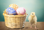 Сlipart chick egg animal april art   BillionPhotos