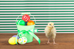 Сlipart chick egg animal april art   BillionPhotos