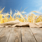 Сlipart bakery table background wheat empty   BillionPhotos