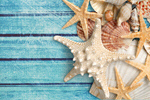 Сlipart Starfish Sea Life Sand White Textured   BillionPhotos