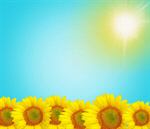 Сlipart open white background literature sunlight   BillionPhotos