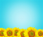 Сlipart open white background literature sunlight   BillionPhotos